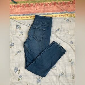 Gloria Vanderbilt Women's Blue Skinny Jeans